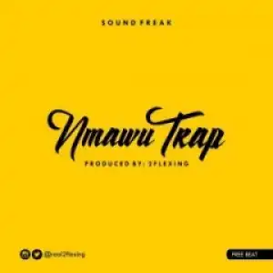 Free Beat: 2flexing - Nmawu Trap